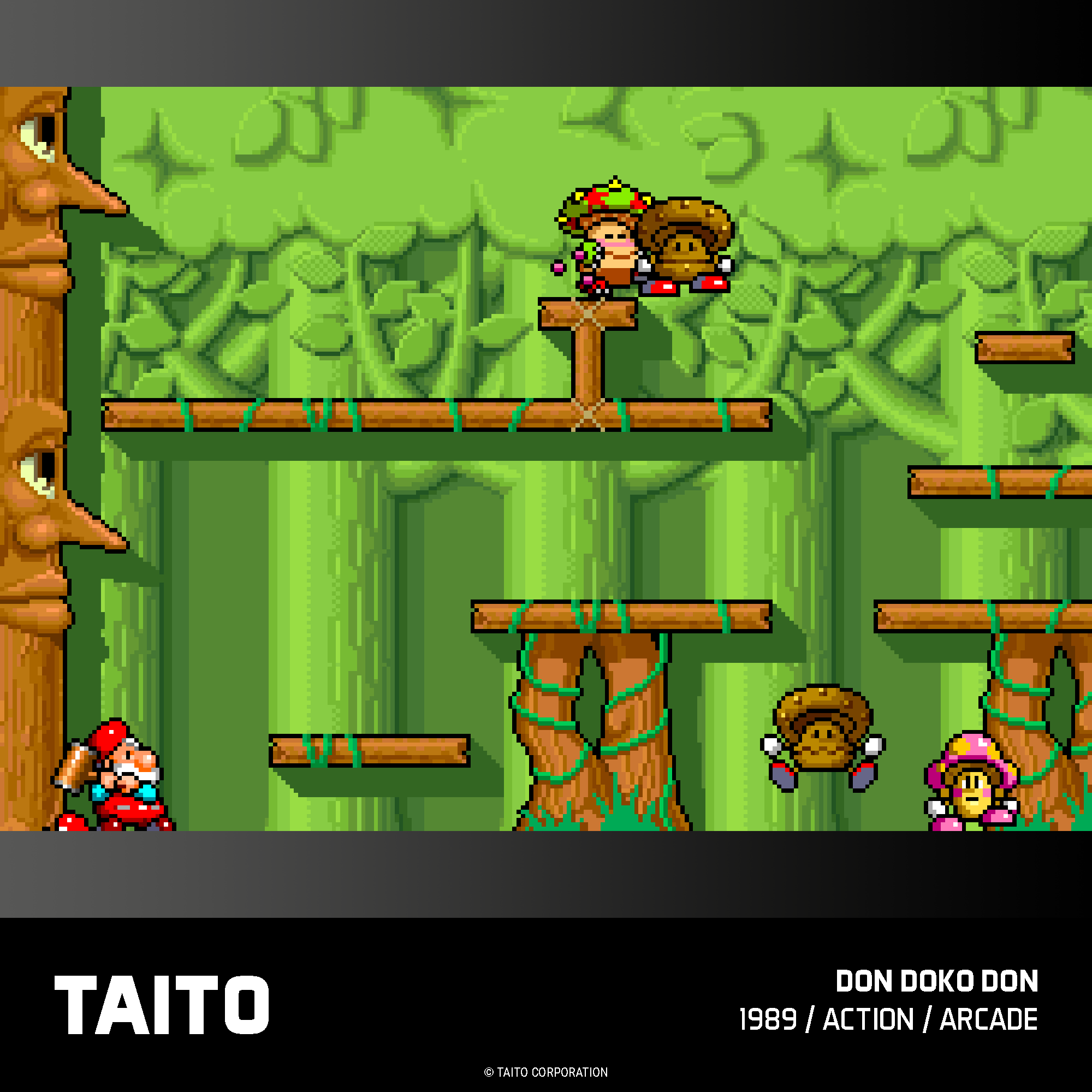 Evercade Cartridge #17 - Taito Arcade Collection 1 - Image 8